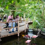 Center Parcs Port Zelande