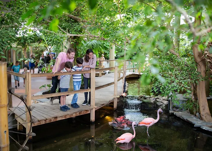 Center Parcs Port Zelande